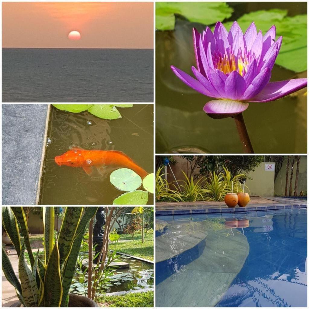 Solomon Beach Hotel Marawila Bagian luar foto